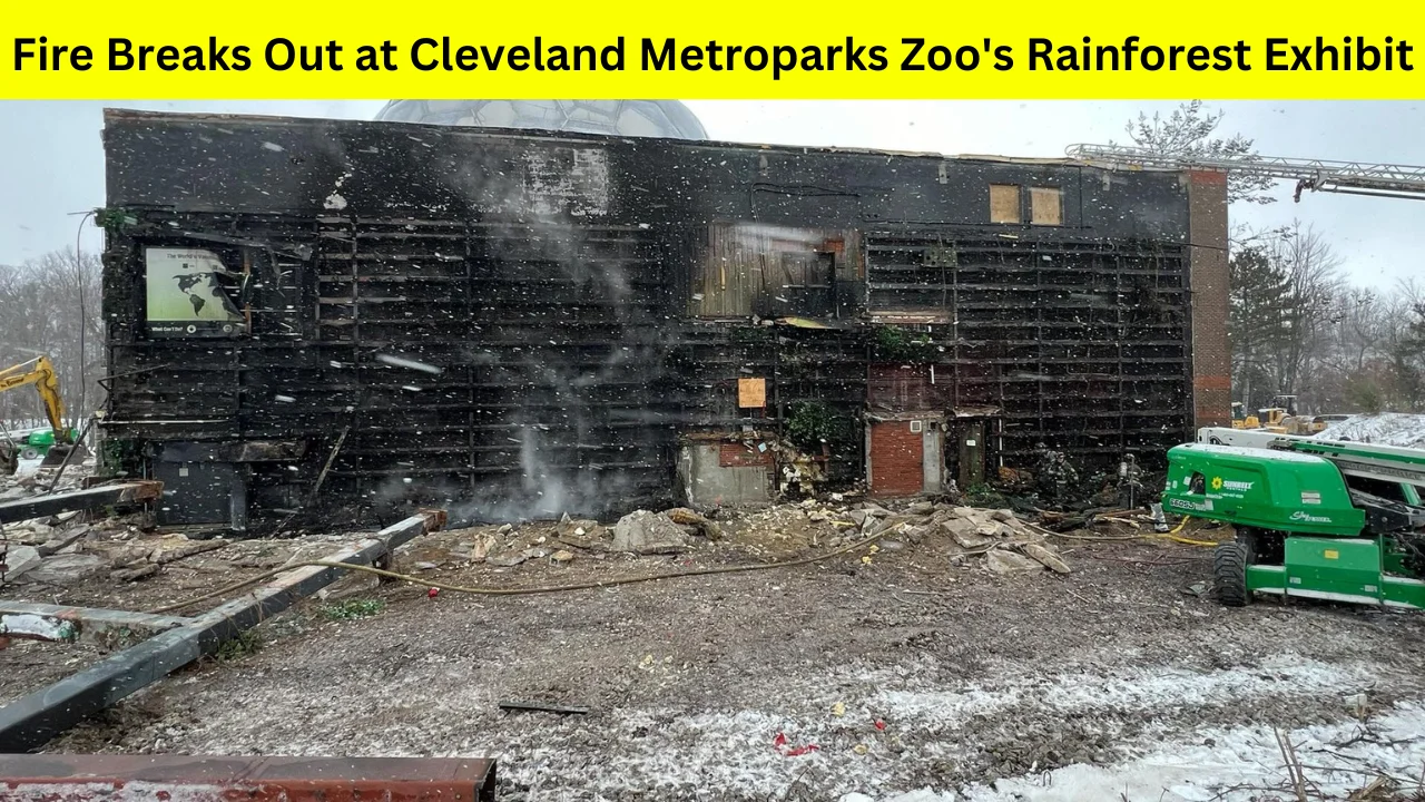 Crews battle fire at Cleveland Metroparks Zoo's RainForest exhibit, all staff and animals safe